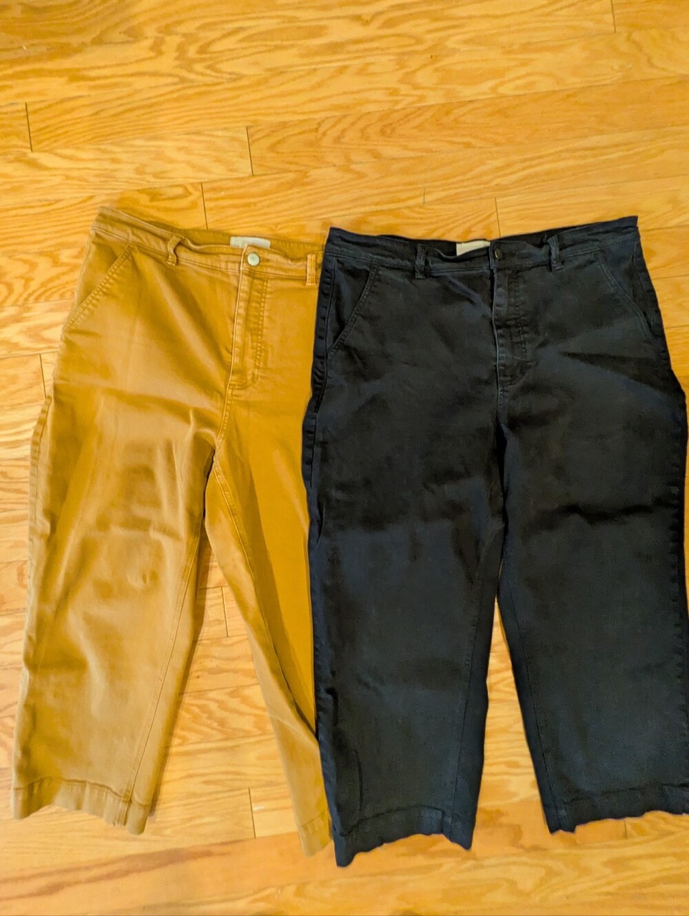 Everlane Straight Leg Crops Short , Black And Golden Brown Colors